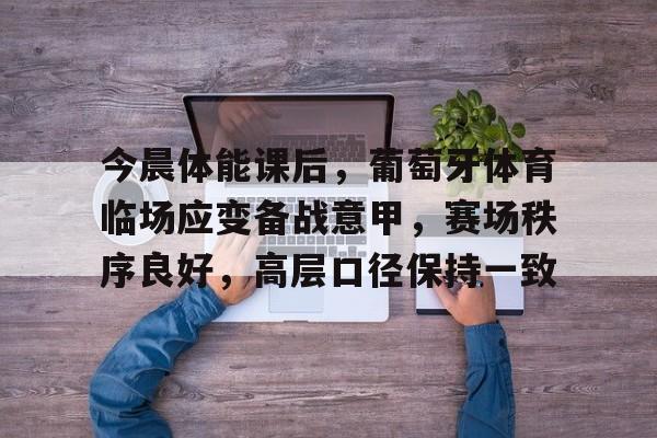 开云APP-包含今晨体能课后，葡萄牙体育临场应变备战意甲，赛场秩序良好，高层口径保持一致的词条